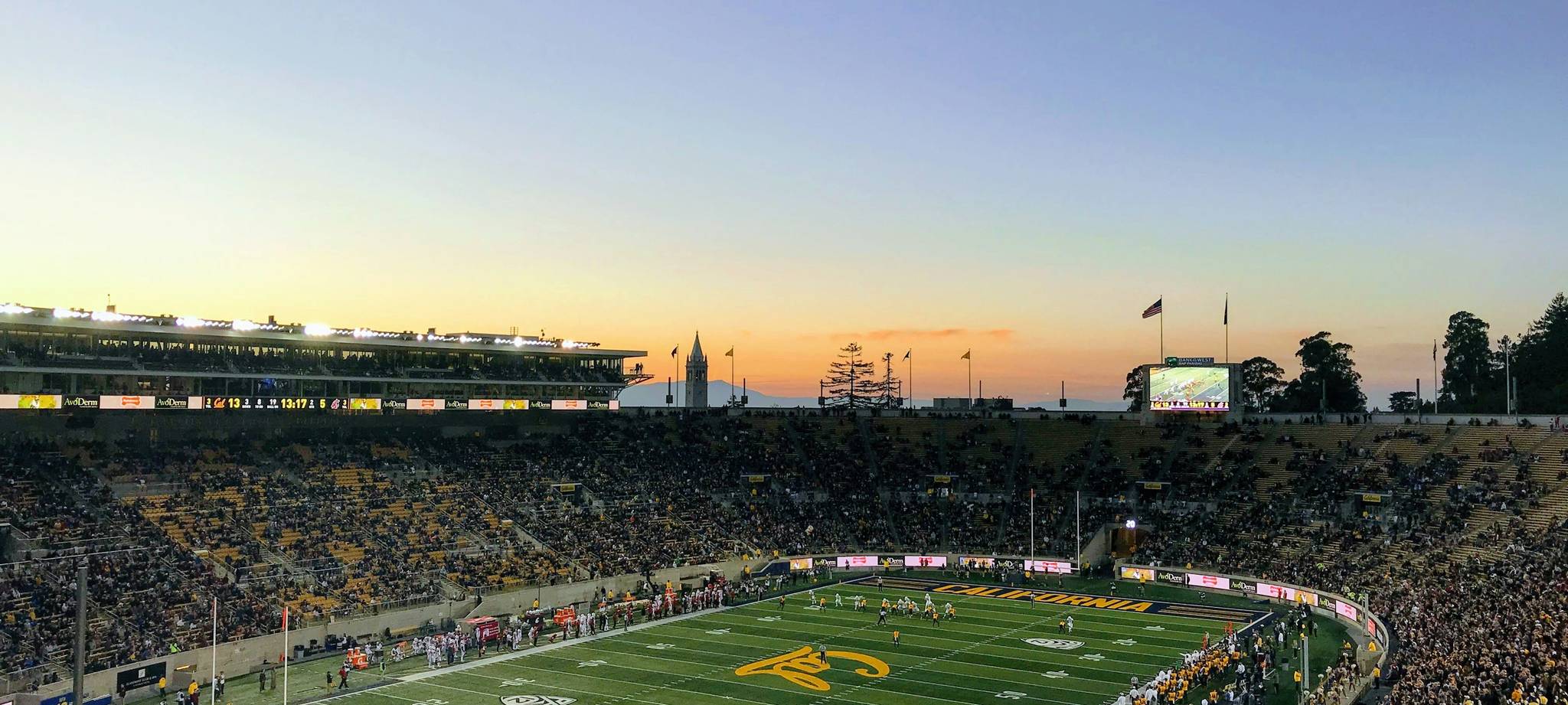 乐鱼体育官网注册