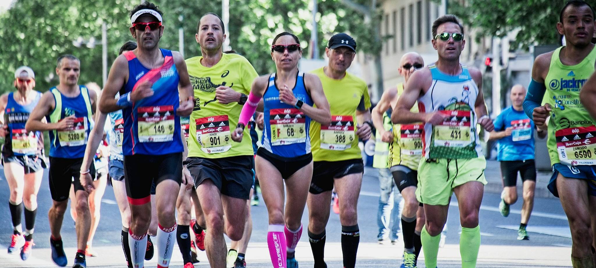 乐鱼体育官网简介